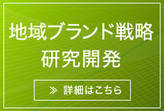 地域ブランド戦略 研究開発